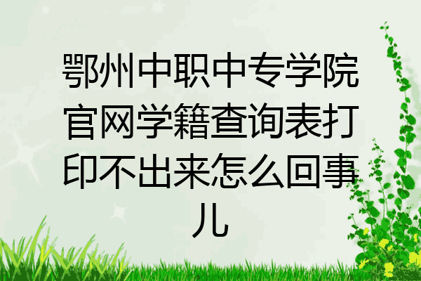 鄂州中职中专学院官网学籍查询表打印不出来怎么回事儿