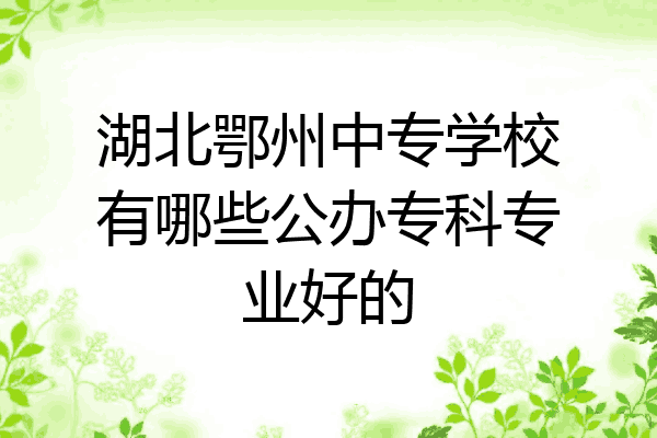 湖北鄂州中专学校有哪些公办专科专业好的