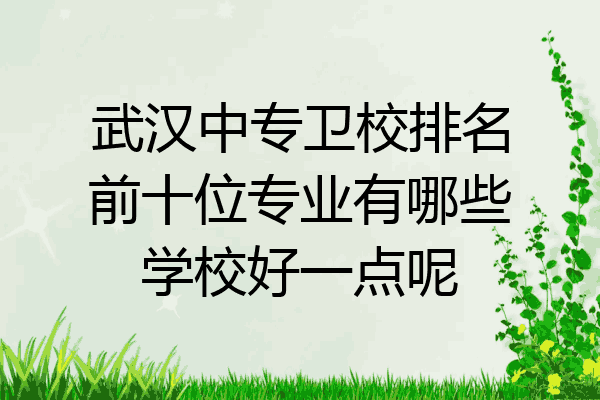 武汉中专卫校排名前十位专业有哪些学校好一点呢