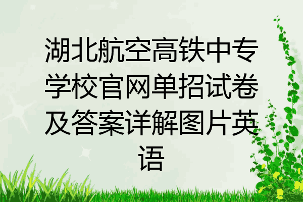 湖北航空高铁中专学校官网单招试卷及答案详解图片英语