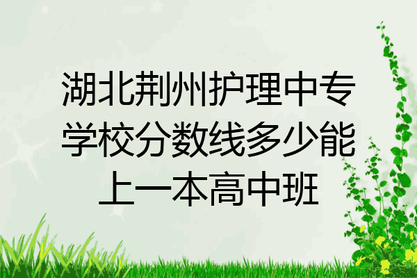湖北荆州护理中专学校分数线多少能上一本高中班