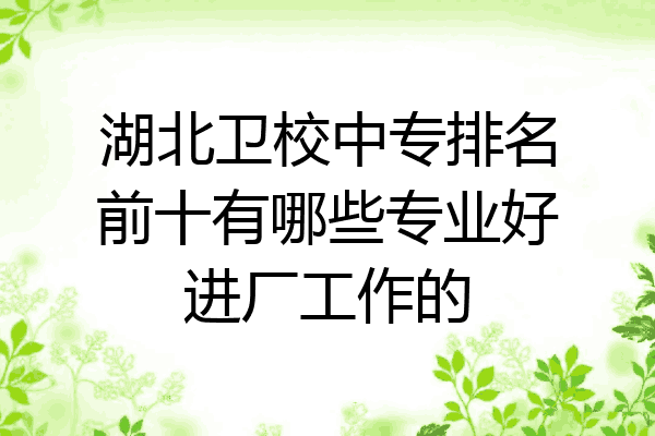 湖北卫校中专排名前十有哪些专业好进厂工作的