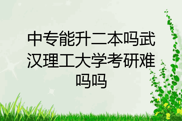 中专能升二本吗武汉理工大学考研难吗吗