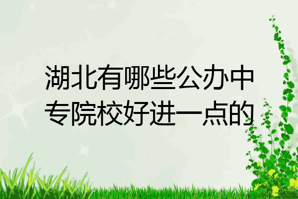 湖北有哪些公办中专院校好进一点的