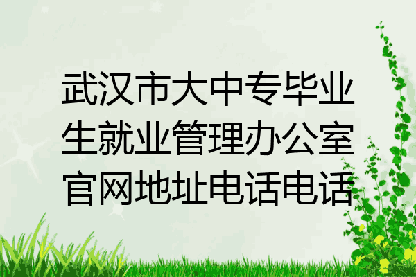 武汉市大中专毕业生就业管理办公室官网地址电话电话