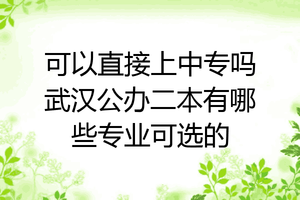 可以直接上中专吗武汉公办二本有哪些专业可选的