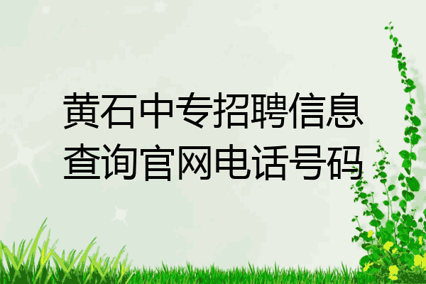黄石中专招聘信息查询官网电话号码