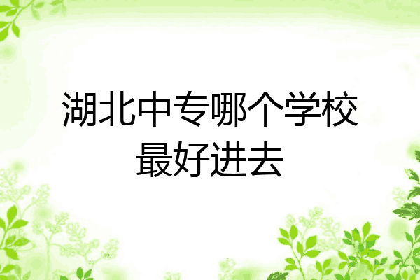 湖北中专哪个学校最好进去