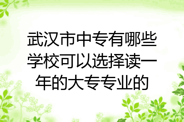 武汉市中专有哪些学校可以选择读一年的大专专业的