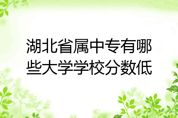 湖北省属中专有哪些大学学校分数低