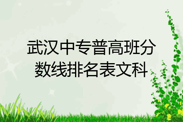 武汉中专普高班分数线排名表文科