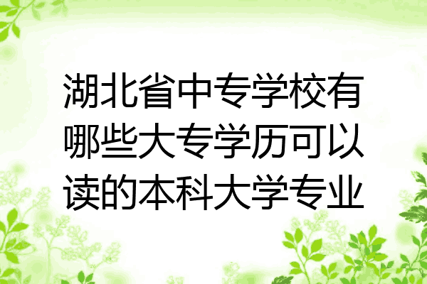 湖北省中专学校有哪些大专学历可以读的本科大学专业