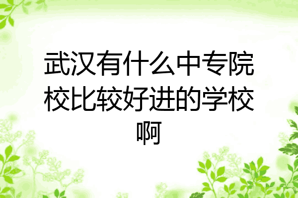 武汉有什么中专院校比较好进的学校啊