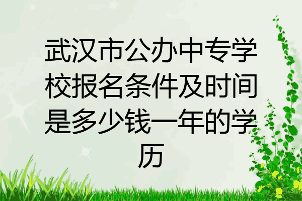 武汉市公办中专学校报名条件及时间是多少钱一年的学历