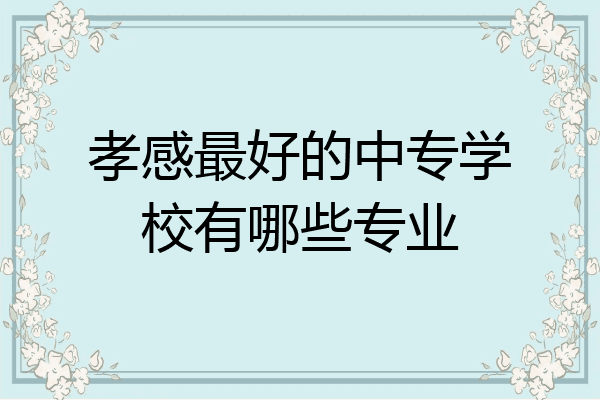 孝感最好的中专学校有哪些专业
