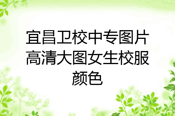 宜昌卫校中专图片高清大图女生校服颜色