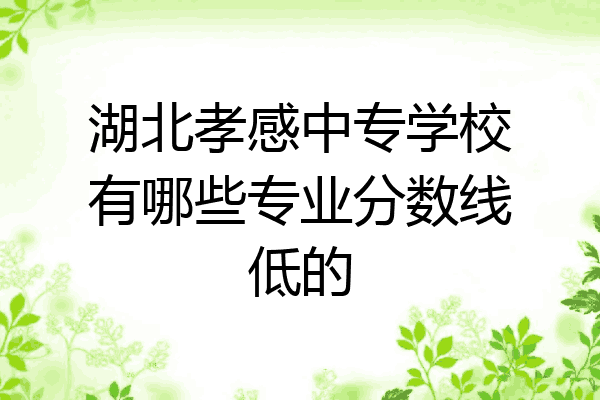 湖北孝感中专学校有哪些专业分数线低的