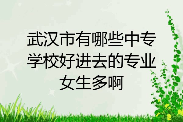 武汉市有哪些中专学校好进去的专业女生多啊