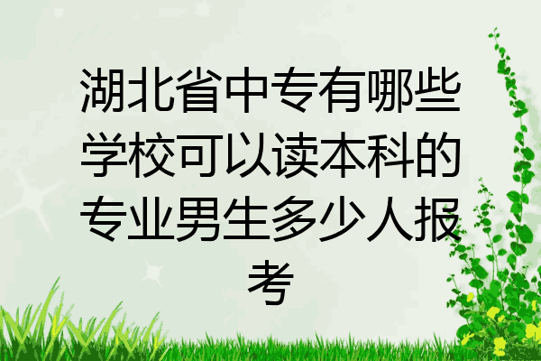 湖北省中专有哪些学校可以读本科的专业男生多少人报考