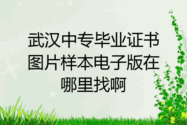 武汉中专毕业证书图片样本电子版在哪里找啊