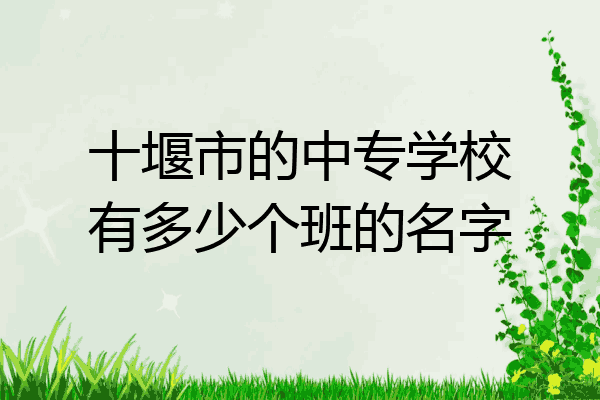 十堰市的中专学校有多少个班的名字