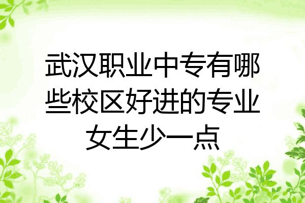 武汉职业中专有哪些校区好进的专业女生少一点