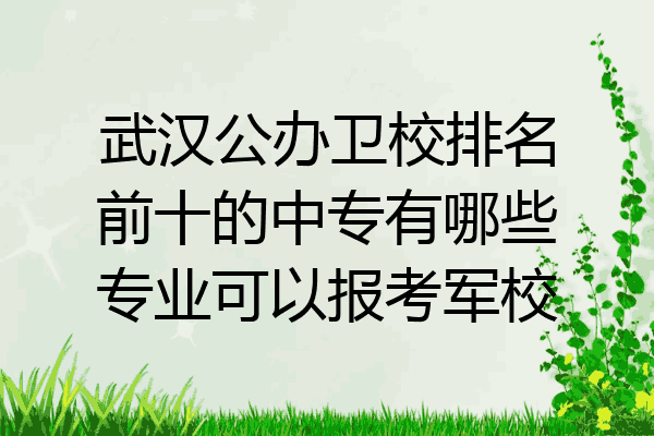 武汉公办卫校排名前十的中专有哪些专业可以报考军校