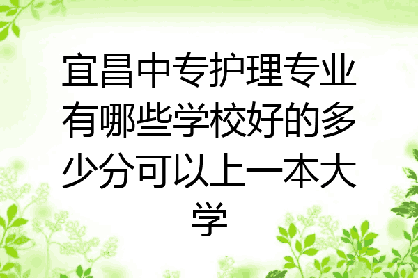 宜昌中专护理专业有哪些学校好的多少分可以上一本大学