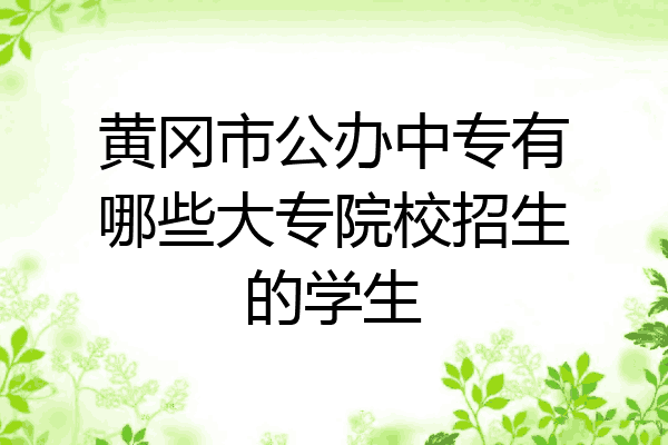 黄冈市公办中专有哪些大专院校招生的学生