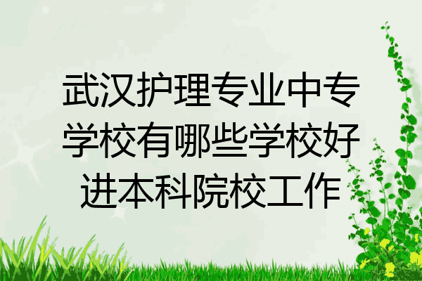 武汉护理专业中专学校有哪些学校好进本科院校工作