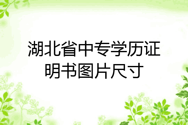 湖北省中专学历证明书图片尺寸