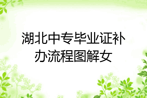 湖北中专毕业证补办流程图解女