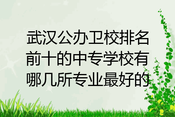 武汉公办卫校排名前十的中专学校有哪几所专业最好的
