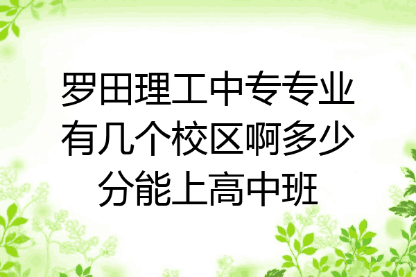 罗田理工中专专业有几个校区啊多少分能上高中班