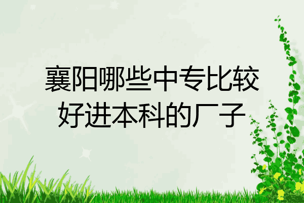 襄阳哪些中专比较好进本科的厂子