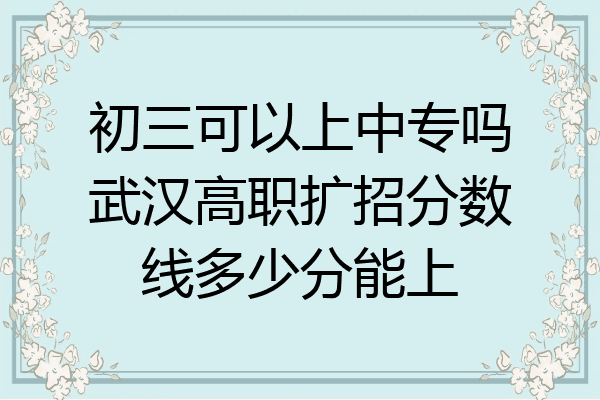 初三可以上中专吗武汉高职扩招分数线多少分能上