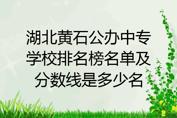 湖北黄石公办中专学校排名榜名单及分数线是多少名