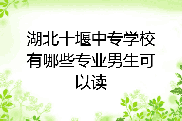 湖北十堰中专学校有哪些专业男生可以读