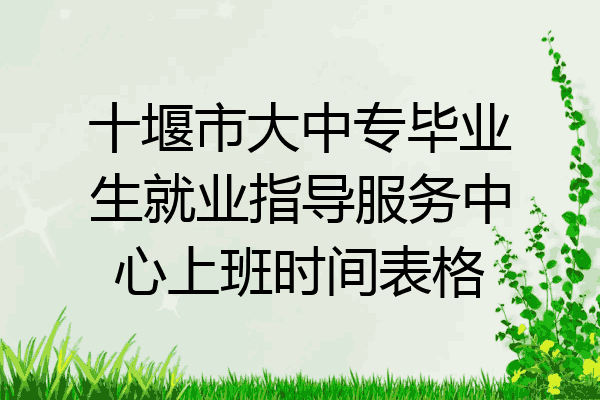 十堰市大中专毕业生就业指导服务中心上班时间表格