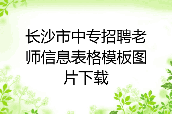 长沙市中专招聘老师信息表格模板图片下载