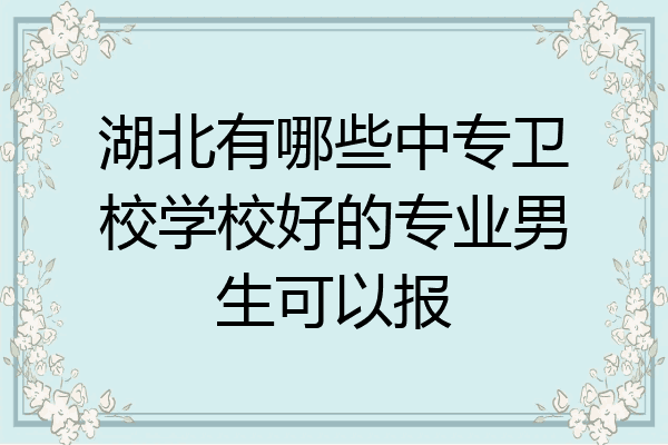 湖北有哪些中专卫校学校好的专业男生可以报