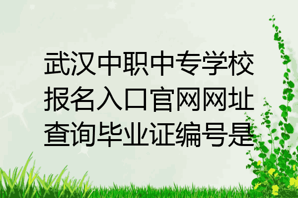 武汉中职中专学校报名入口官网网址查询毕业证编号是