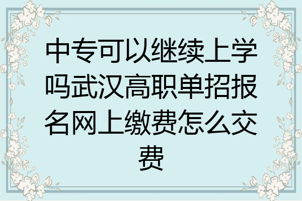 中专可以继续上学吗武汉高职单招报名网上缴费怎么交费