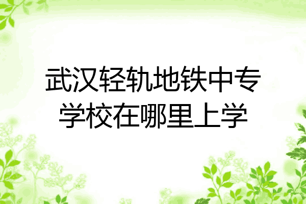 武汉轻轨地铁中专学校在哪里上学
