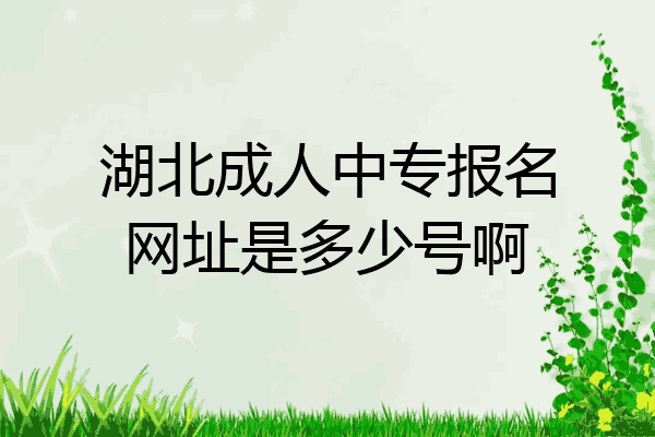 湖北成人中专报名网址是多少号啊