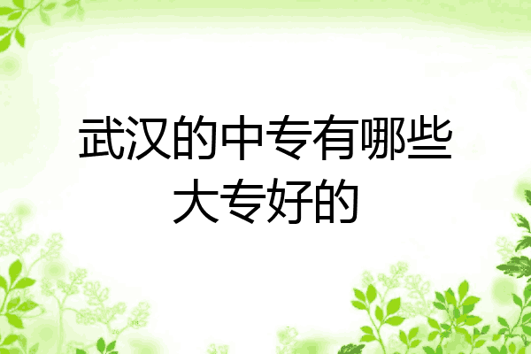 武汉的中专有哪些大专好的