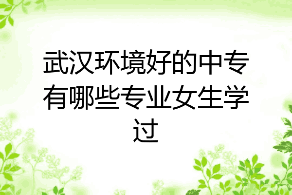 武汉环境好的中专有哪些专业女生学过