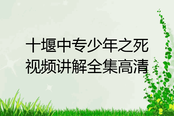十堰中专少年之死视频讲解全集高清