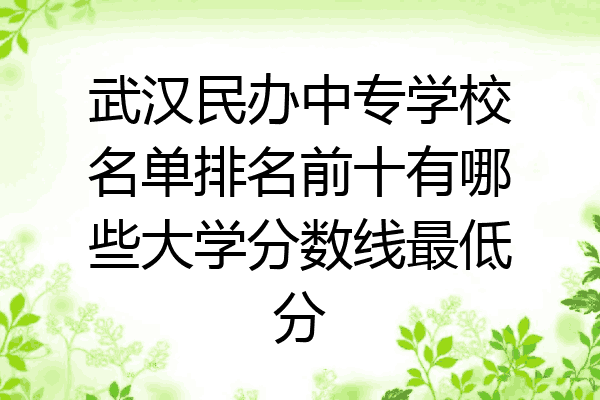 武汉民办中专学校名单排名前十有哪些大学分数线最低分