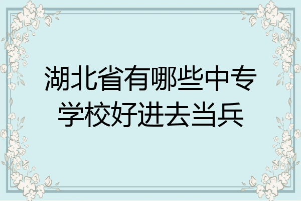 湖北省有哪些中专学校好进去当兵